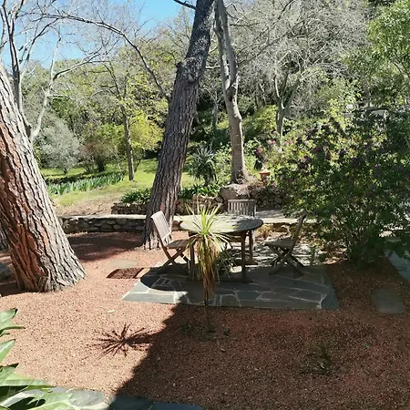 Mas Senyarich Feriehus