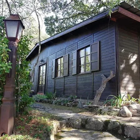 Holiday home Mas Senyarich Argeles-sur-Mer