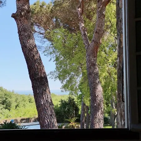 Mas Senyarich Holiday home